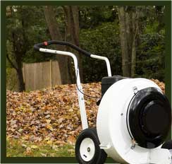 Yards By Us leaf blowing and removal